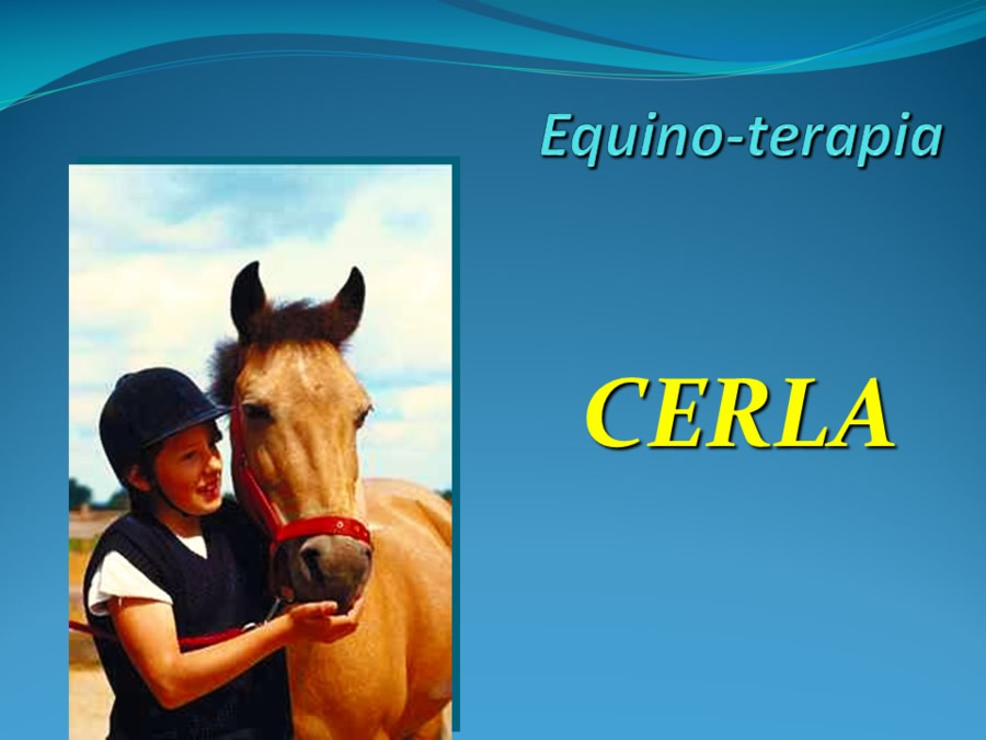 Terapia asistida con animales de compaa y personas mayores