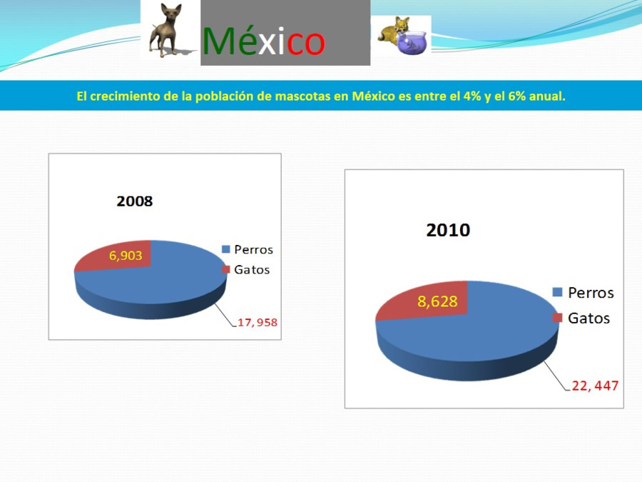 Terapia asistida con animales de compaa y personas mayores