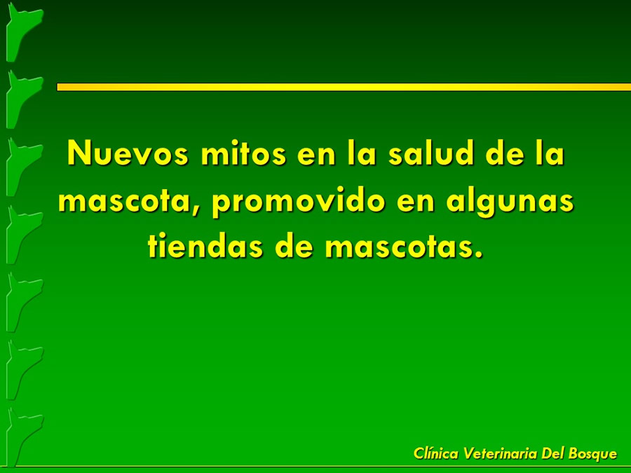 Mitos y fantasas populares en la salud de las mascotas