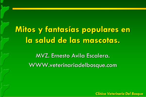 Mitos y fantasas populares en la salud de las mascotas