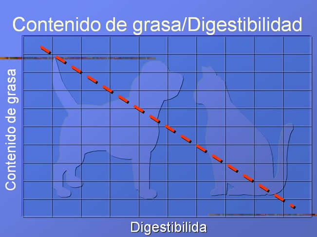 Alergia alimentaria