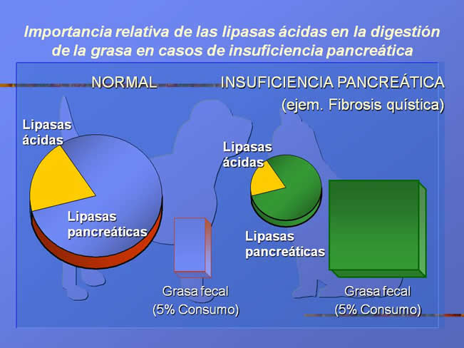 Alergia alimentaria