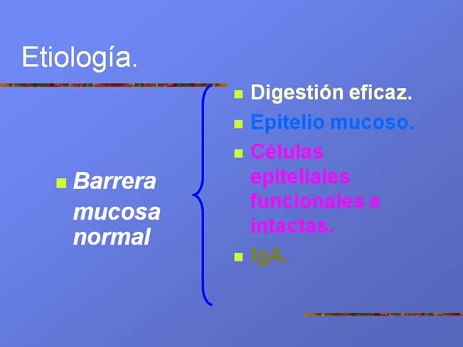 Alergia alimentaria