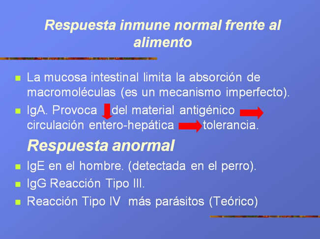 Alergia alimentaria