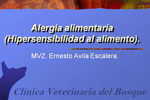 Alergia alimentaria (Hipersensibilidad al alimento