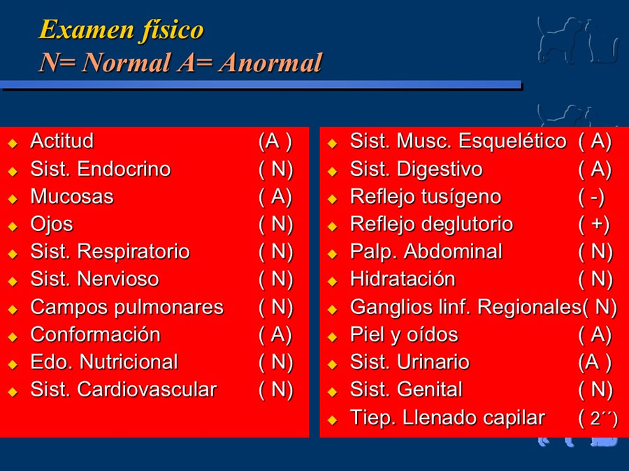 Carcinoma Hepatocelular