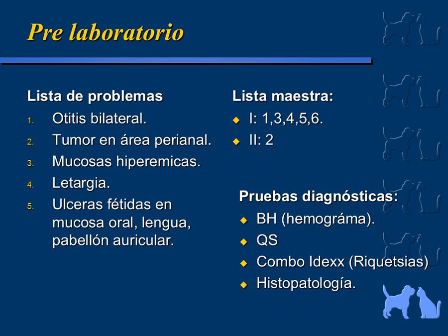 Carcinoma Hepatocelular