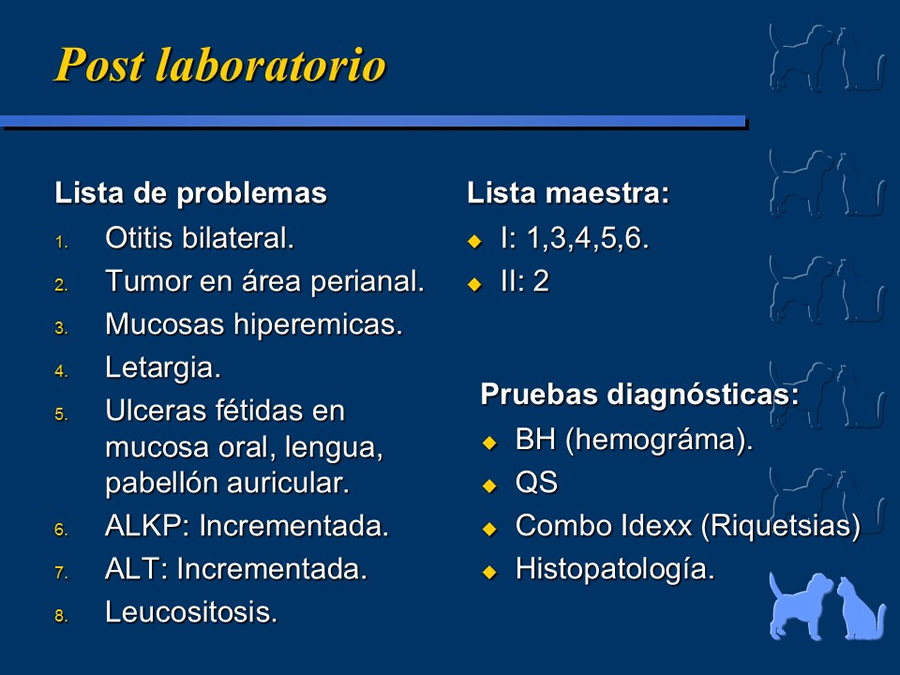 Carcinoma Hepatocelular