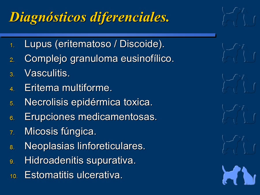 Carcinoma Hepatocelular