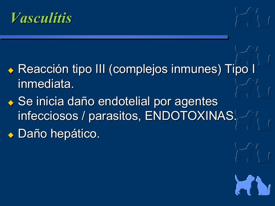 Carcinoma Hepatocelular