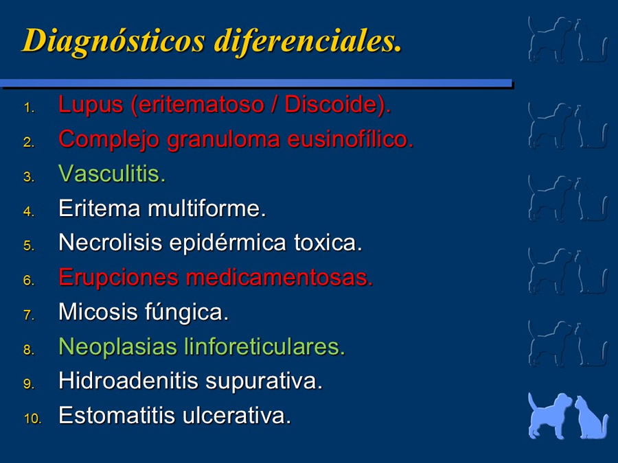 Carcinoma Hepatocelular