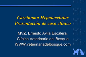 Carcinoma Hepatocelular