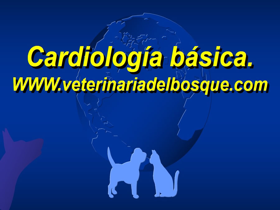 Cardiologa bsica