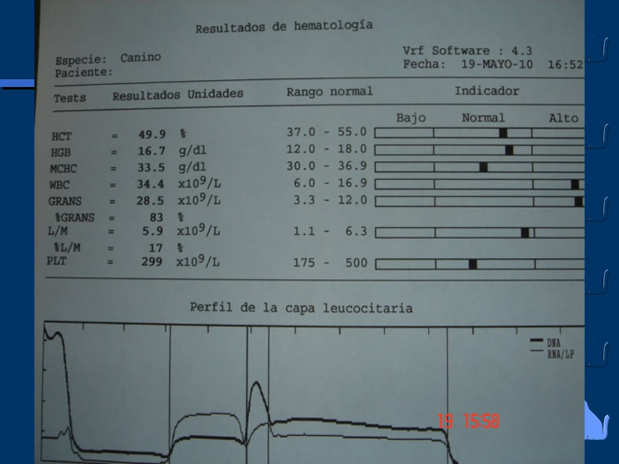 Cardiologa bsica