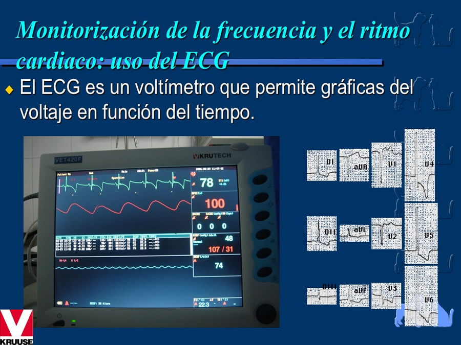 Cardiologa bsica