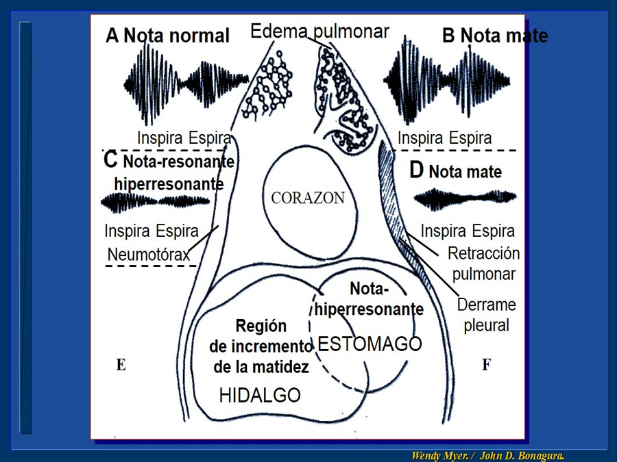 Cardiologa bsica