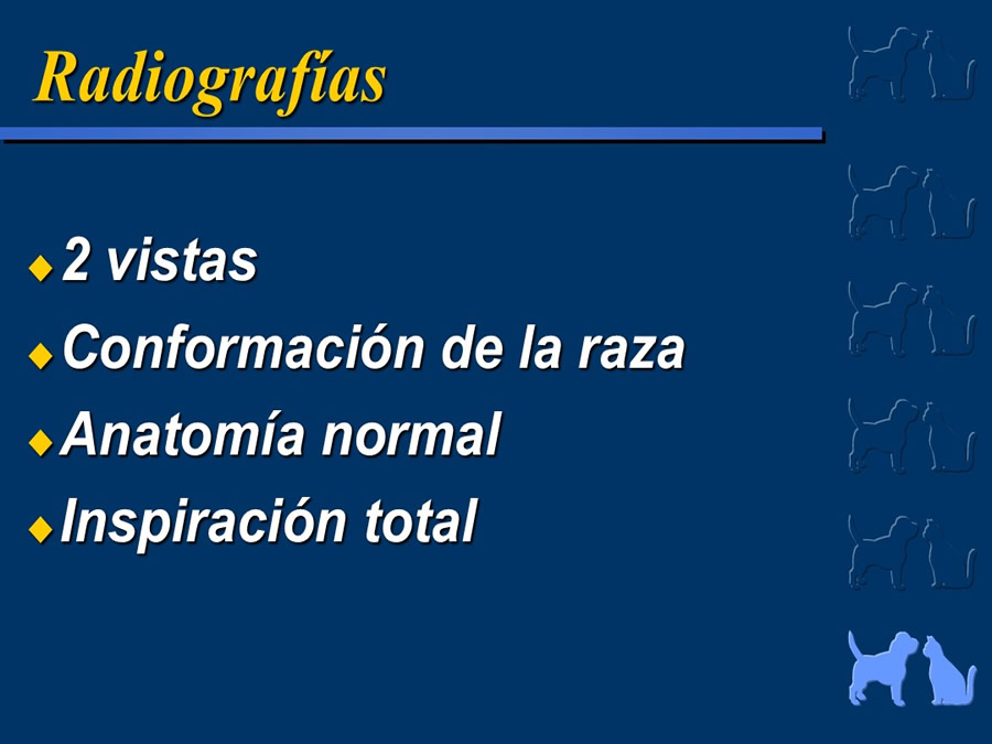 Cardiologa bsica