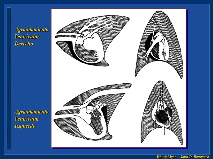 Cardiologa bsica