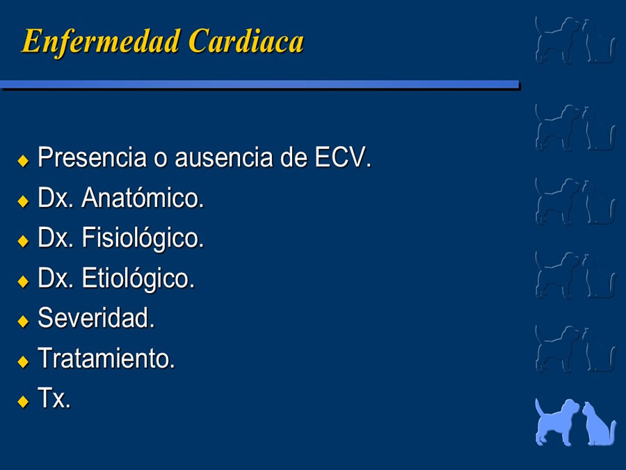 Cardiologa bsica