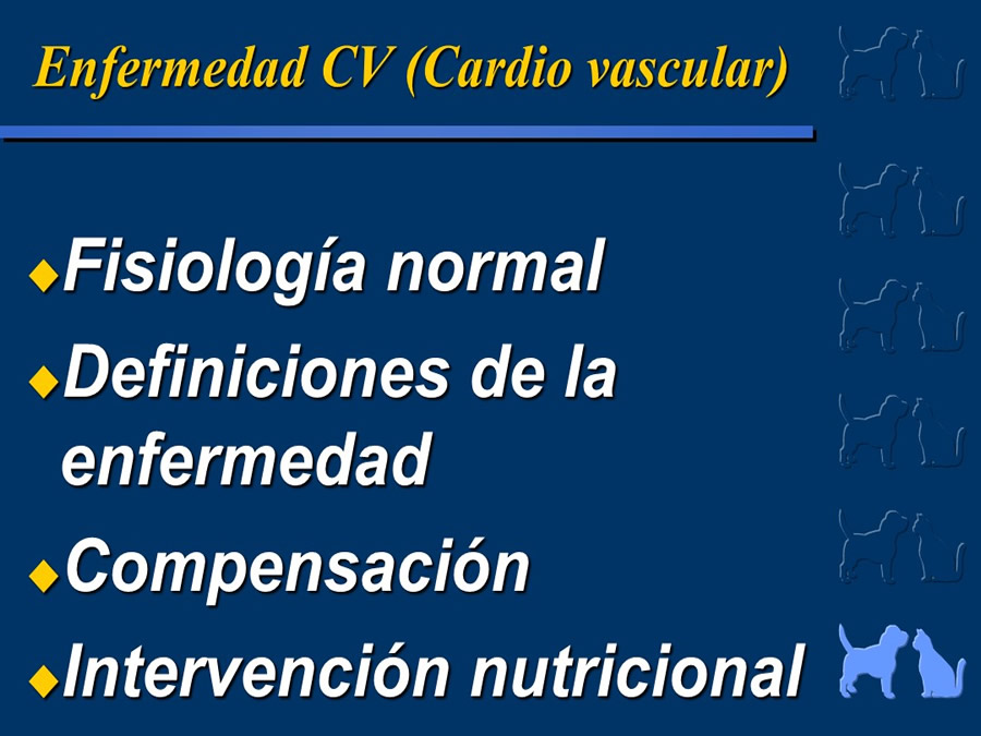 Cardiologa bsica