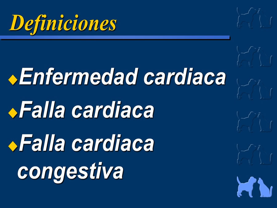 Cardiologa bsica