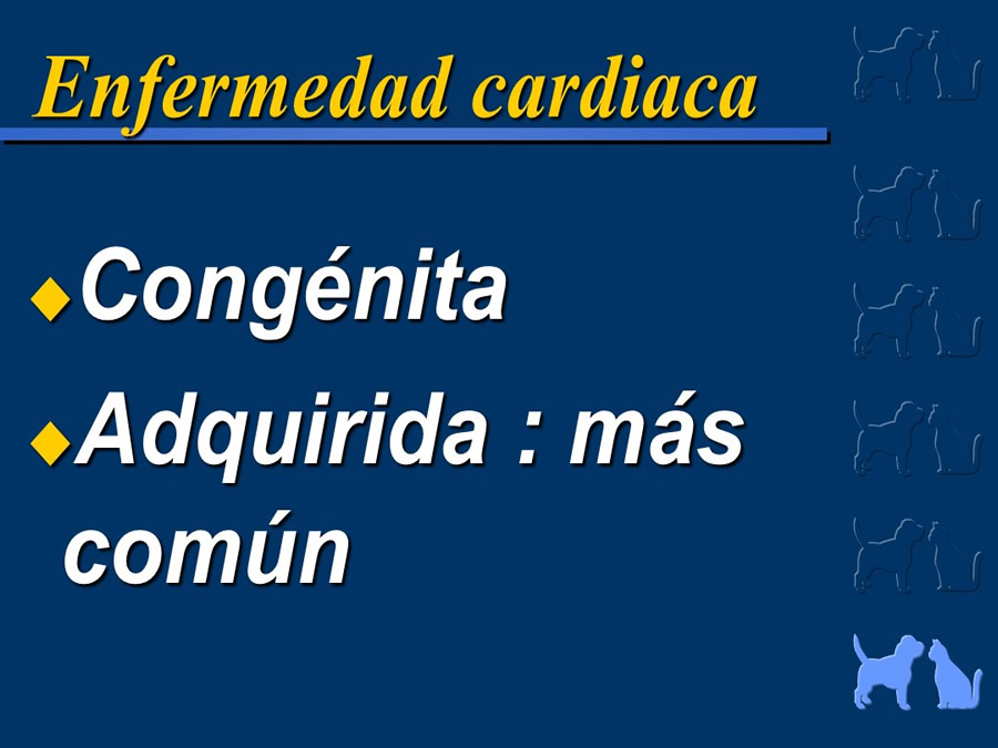 Cardiologa bsica