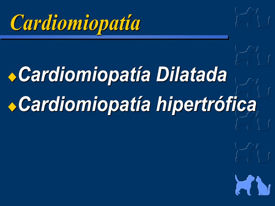 Cardiologa bsica