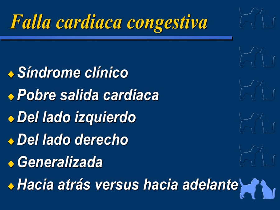 Cardiologa bsica