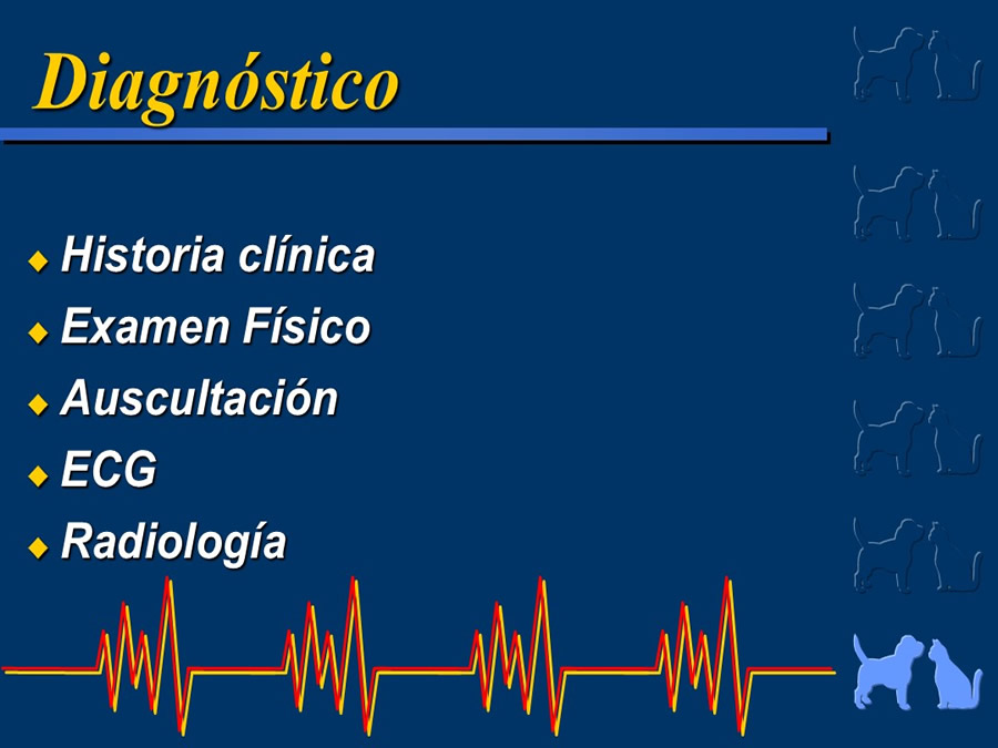 Cardiologa bsica