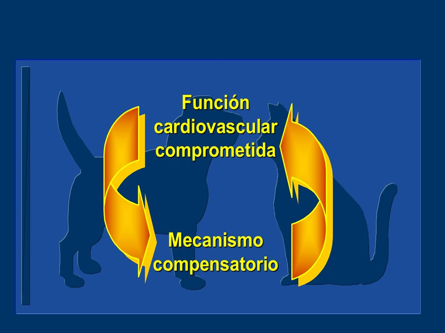 Cardiologa bsica