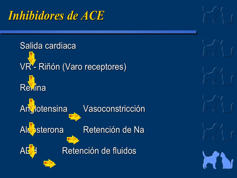 Cardiologa bsica