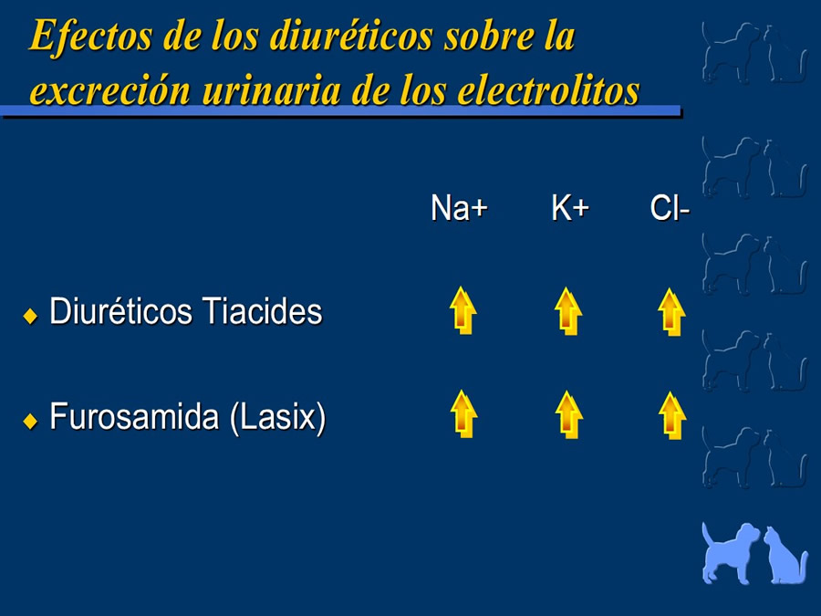 Cardiologa bsica