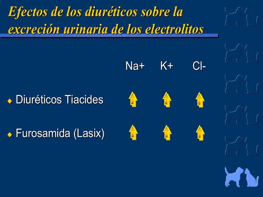 Cardiologa bsica