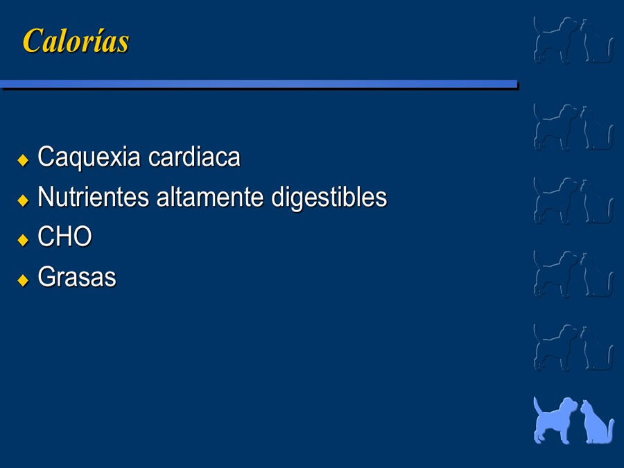 Cardiologa bsica