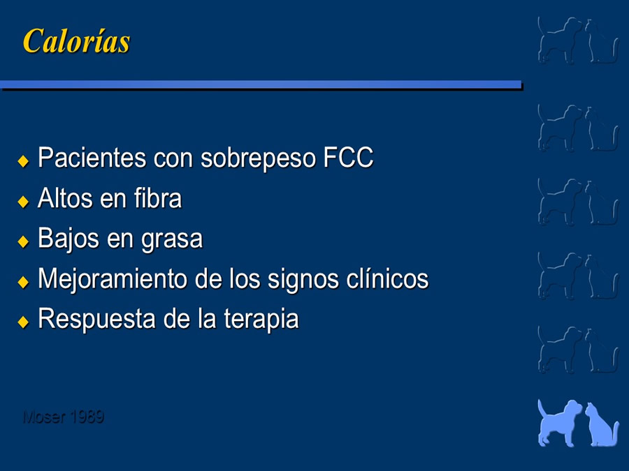 Cardiologa bsica