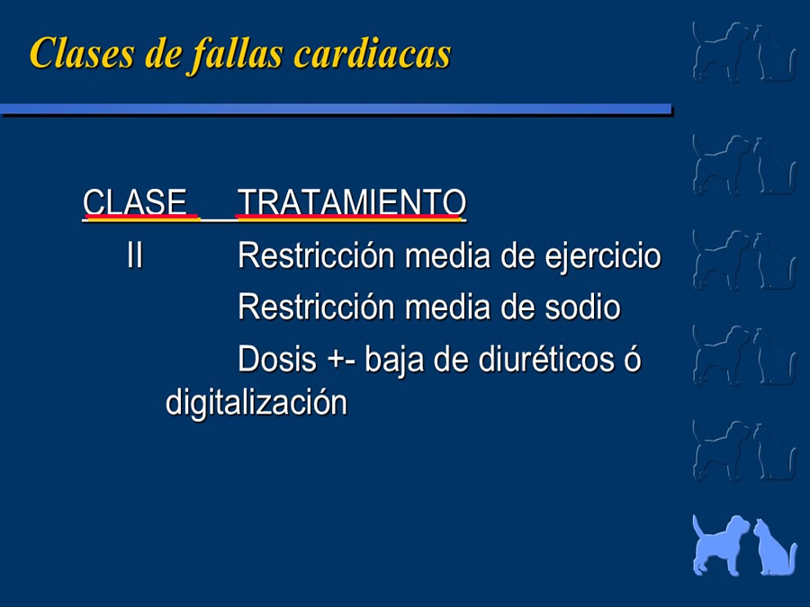 Cardiologa bsica