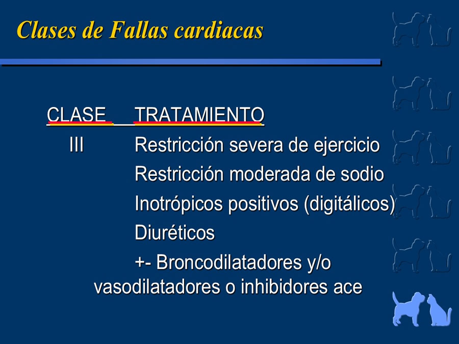 Cardiologa bsica