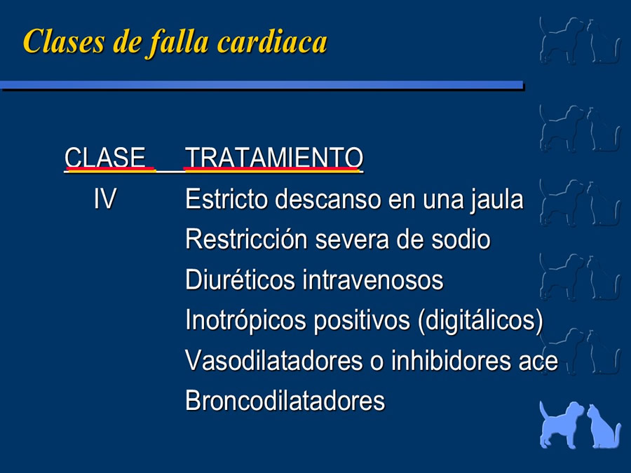 Cardiologa bsica