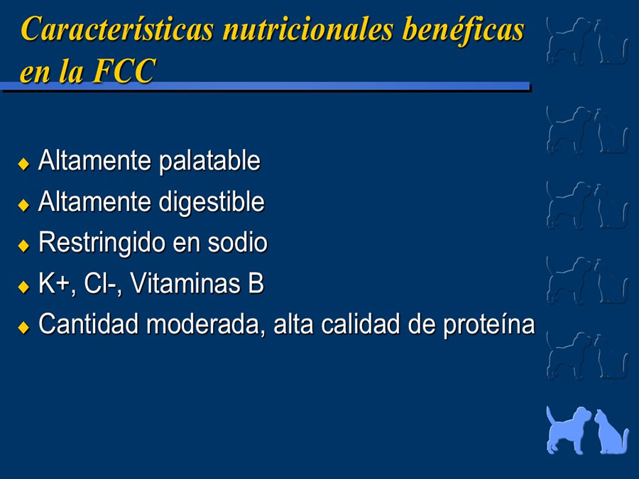 Cardiologa bsica