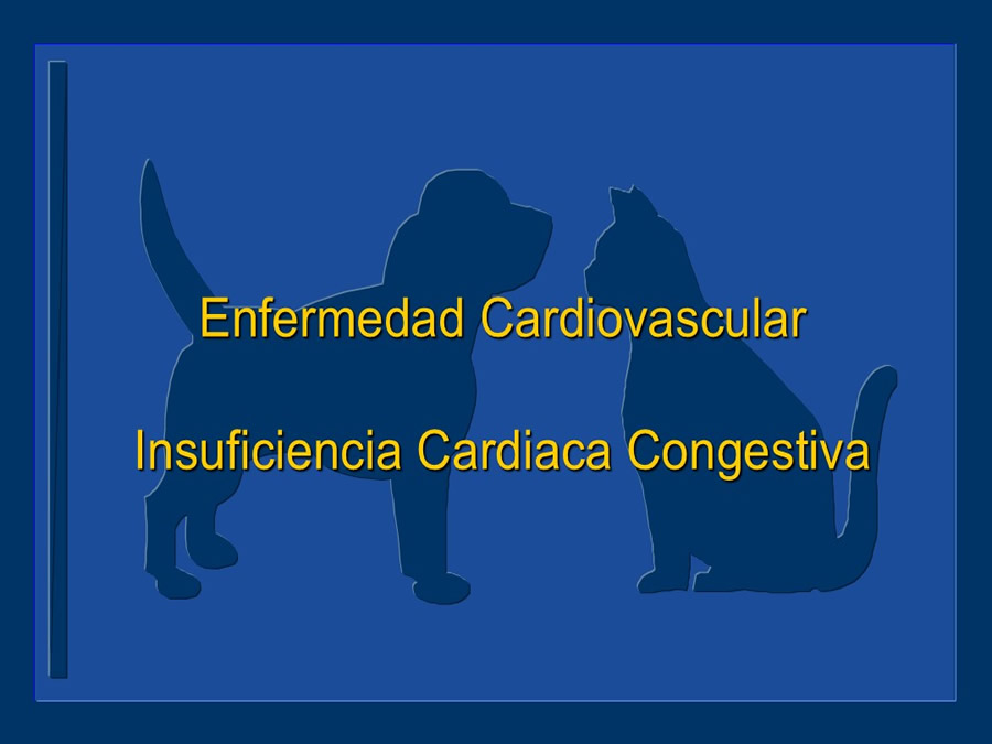 Cardiologa bsica