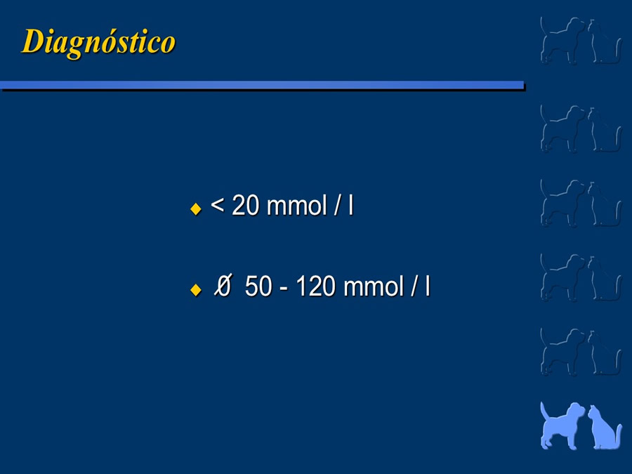 Cardiologa bsica