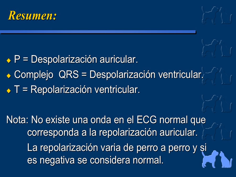 Cardiologa bsica