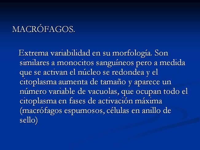 Citologa bsica
