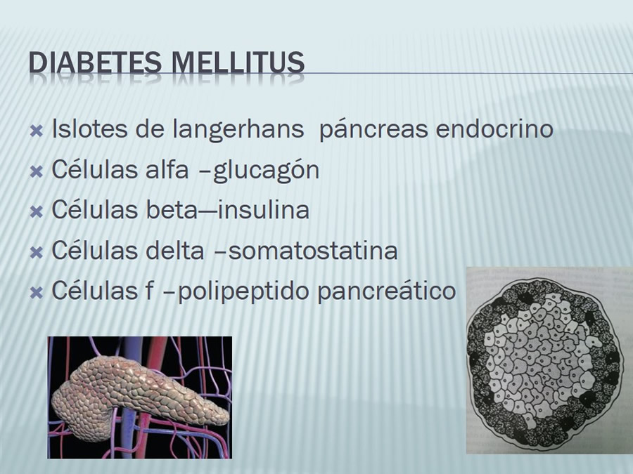 Diabetes Mellitus