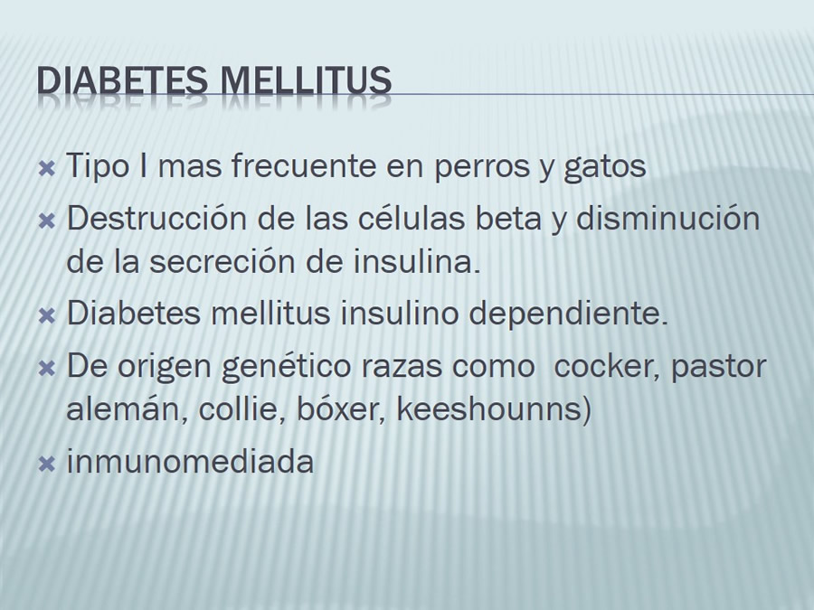 Diabetes Mellitus