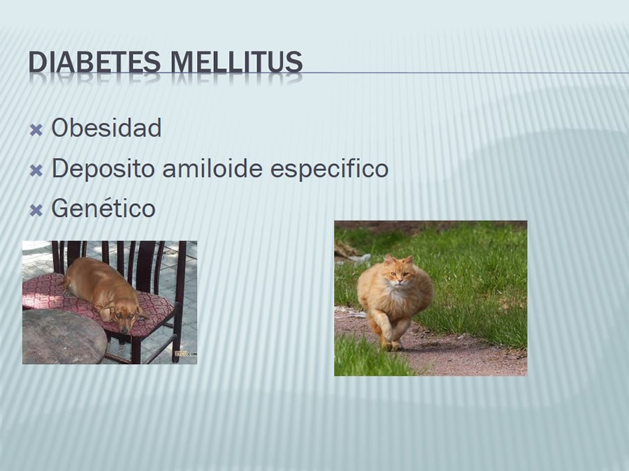 Diabetes Mellitus