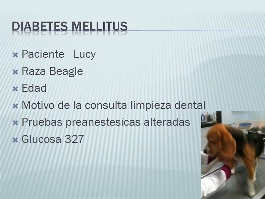 Diabetes Mellitus