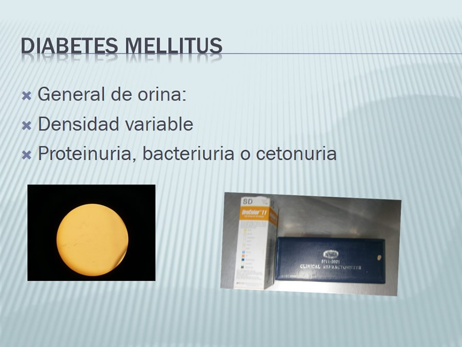 Diabetes Mellitus