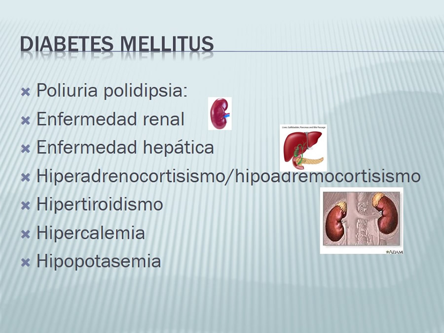 Diabetes Mellitus