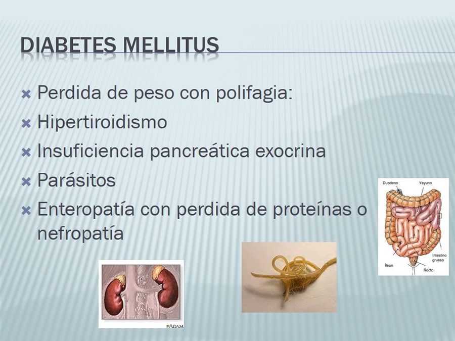 Diabetes Mellitus